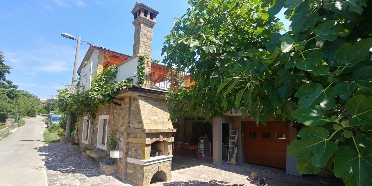 Kmetija Jogan, Wines & Apartments Pobegi Kültér fotó